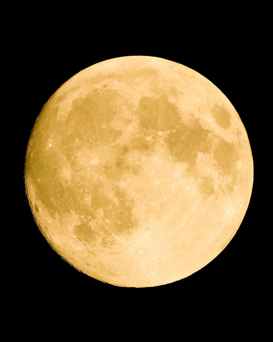 The Pursuit of Purposeless Purpose