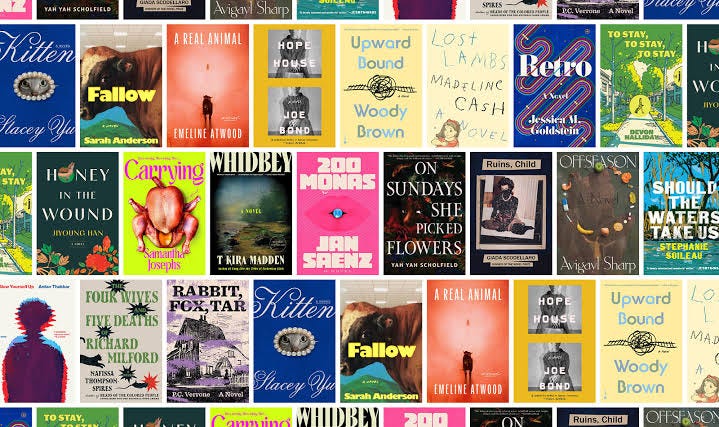 Announcing The Center for Fiction 2026 First Novel Prize Longlist | The  Center for Fiction