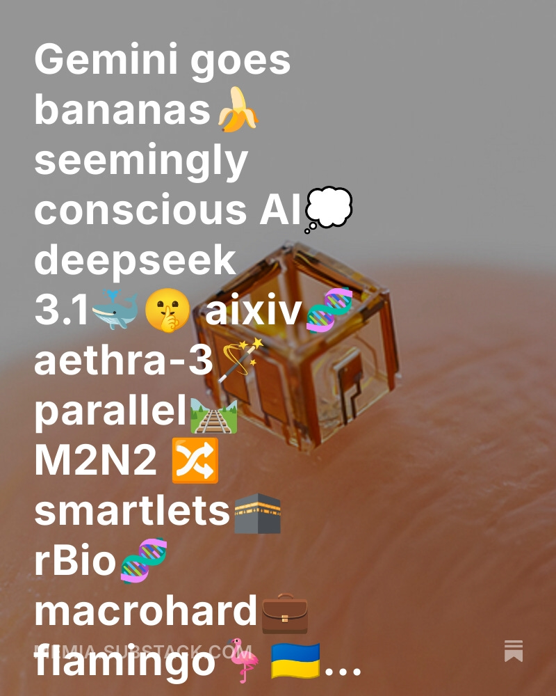 Memia 2025.34