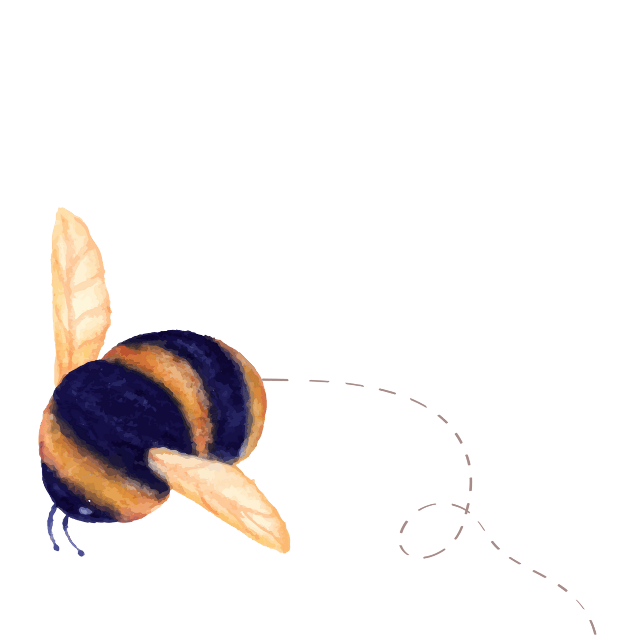 An illustration of a bumble bee