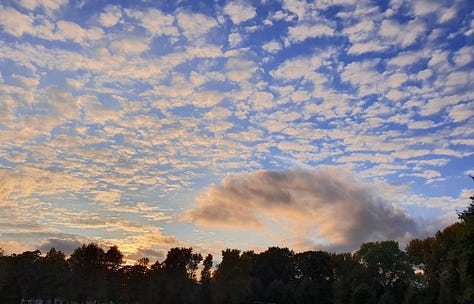 a 3x3 grid of various scenic landscapes, sunsets, skies, trees