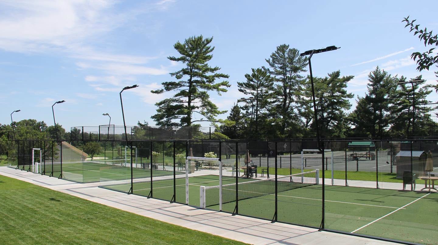 May be an image of tennis and grass