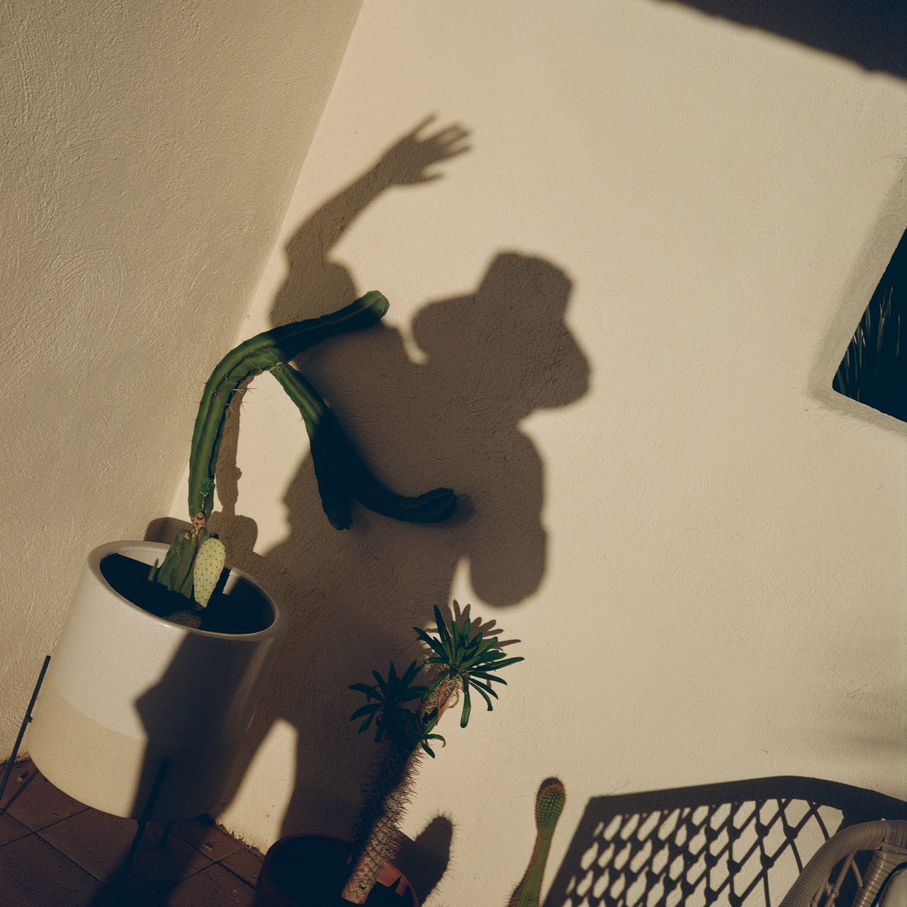 a tender weekly reminder