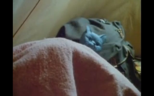 Cat toy peeks over above a mound of blankets inside a tent Cat toy peeks over above a mound of blankets inside a tent