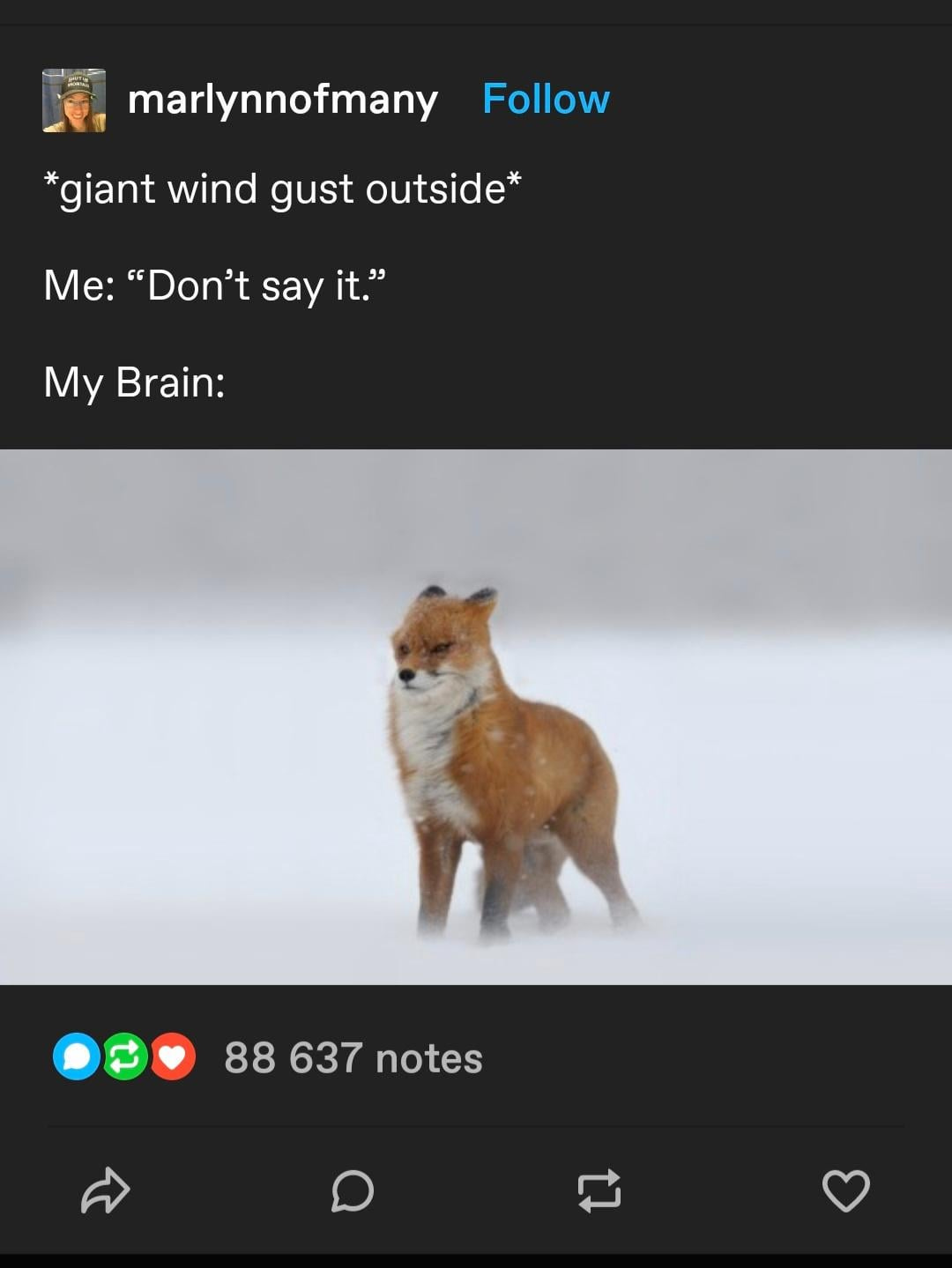 Don't Say It : r/tumblr