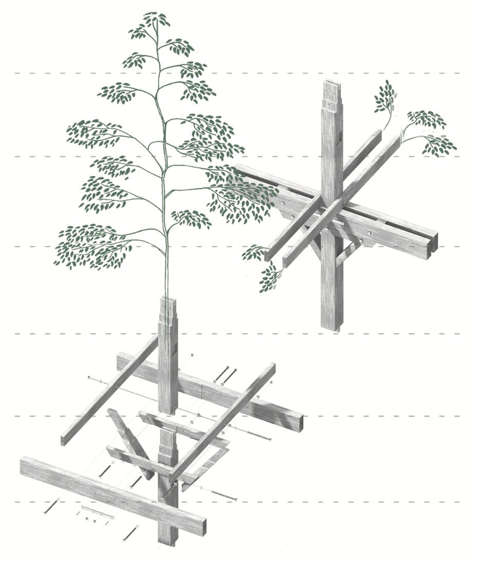 DOSSIER | CONSTRUIRE EN FEUILLU, ETAT DES LIEUX - Séquences Bois