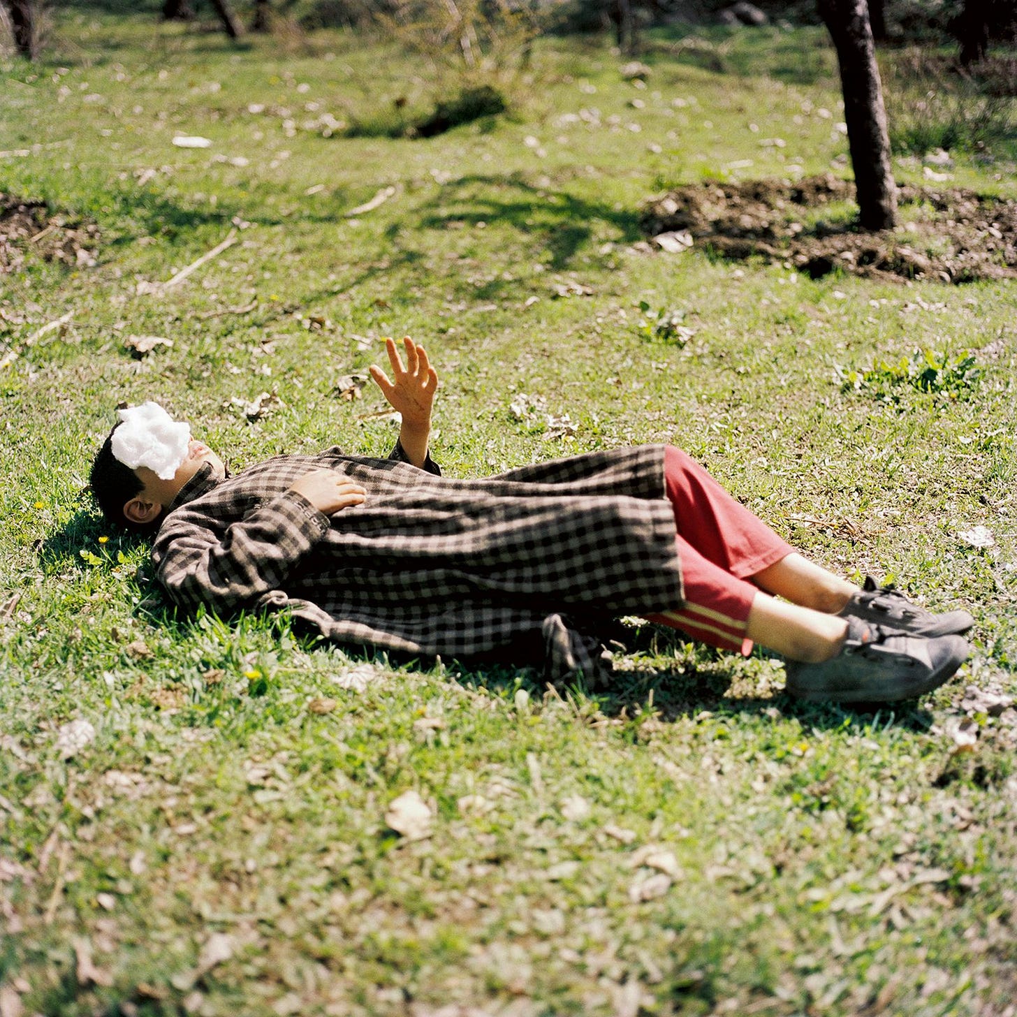 Child laying on grass with white fluff on their face