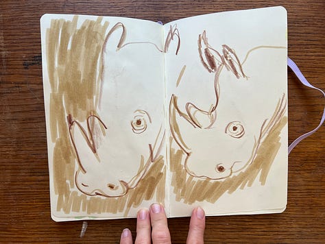 animal illustrations by Beth Spencer