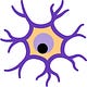 Neuro Notes