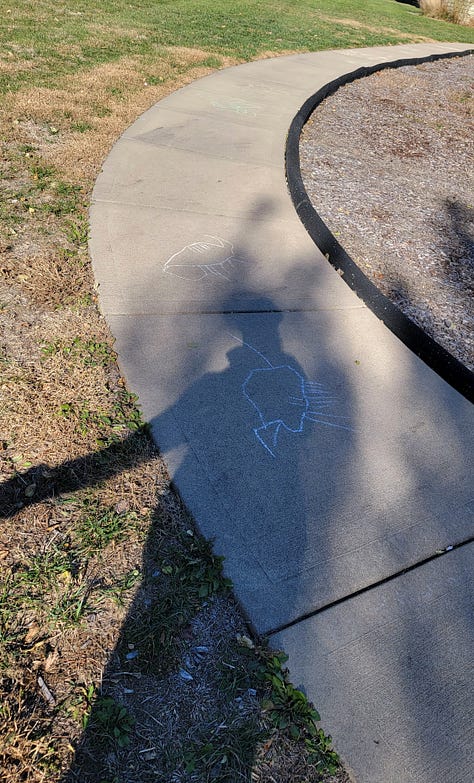 photos of kids chalk drawings on a curved sidewalk and a large leopard frog