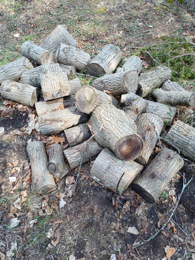 A pile of firewood-length logs, ready to be split.
