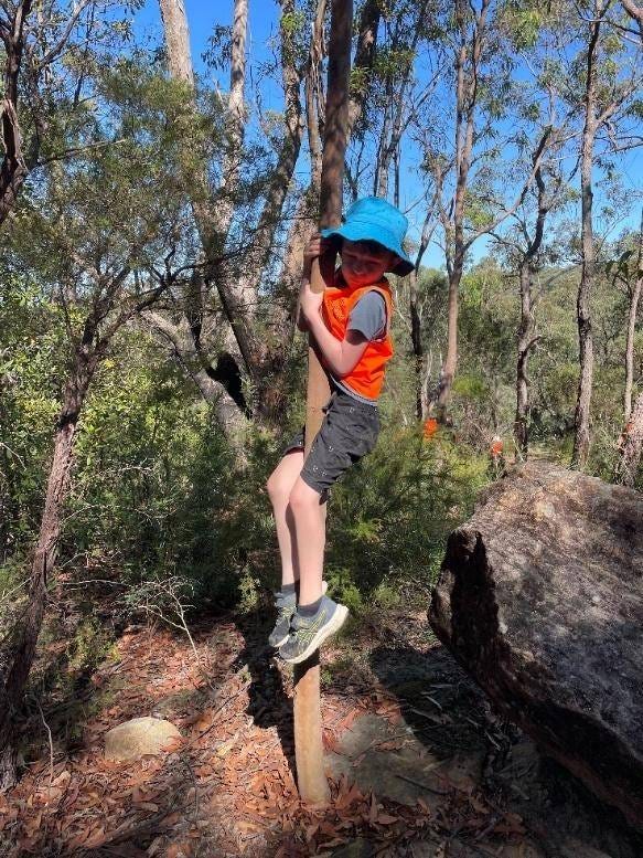 sliding down a tree in the bush sliding down a tree in the bush