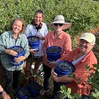 Local Couple's Farm Project Earns National Spotlight