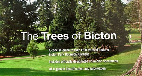 ornamental gardens and trees at Bicton Botanical Gardens