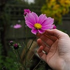 Simple Joys & Inspirations: Little things that make the days brighter