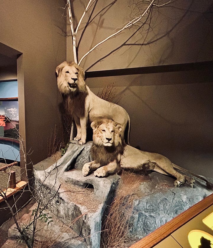 exhibits, galleries