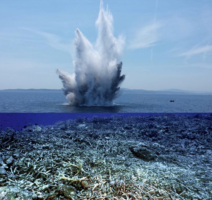 Reef Ball Foundation Protecting the Reefs We Still Have