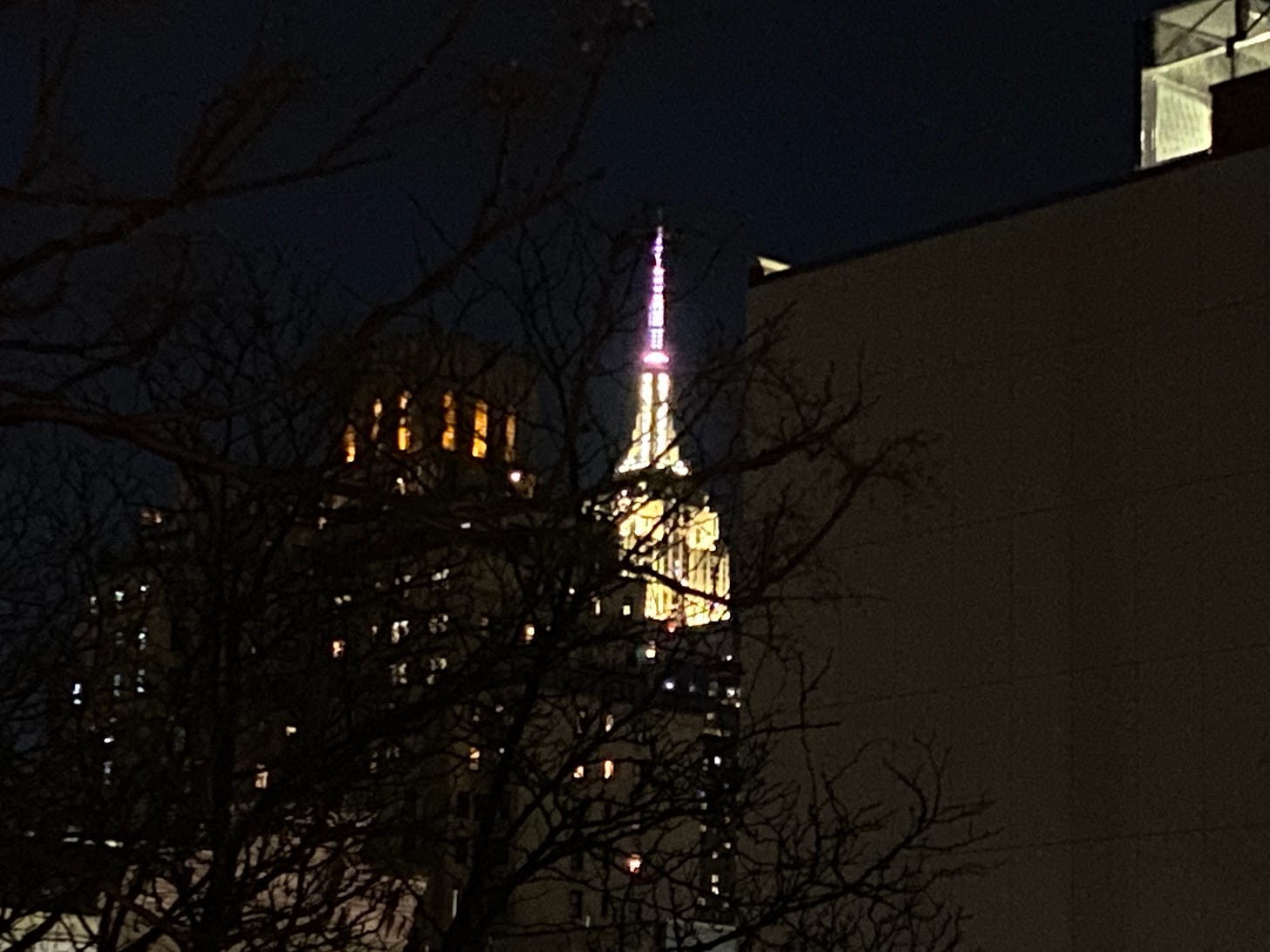 A grainy iPhone photo of the Empire State Bulding, lit up at night. It is wedged between the bulk of a large school building on the left, and an apartment building on the right. There is also a tangle of bare branches that crosses the image.