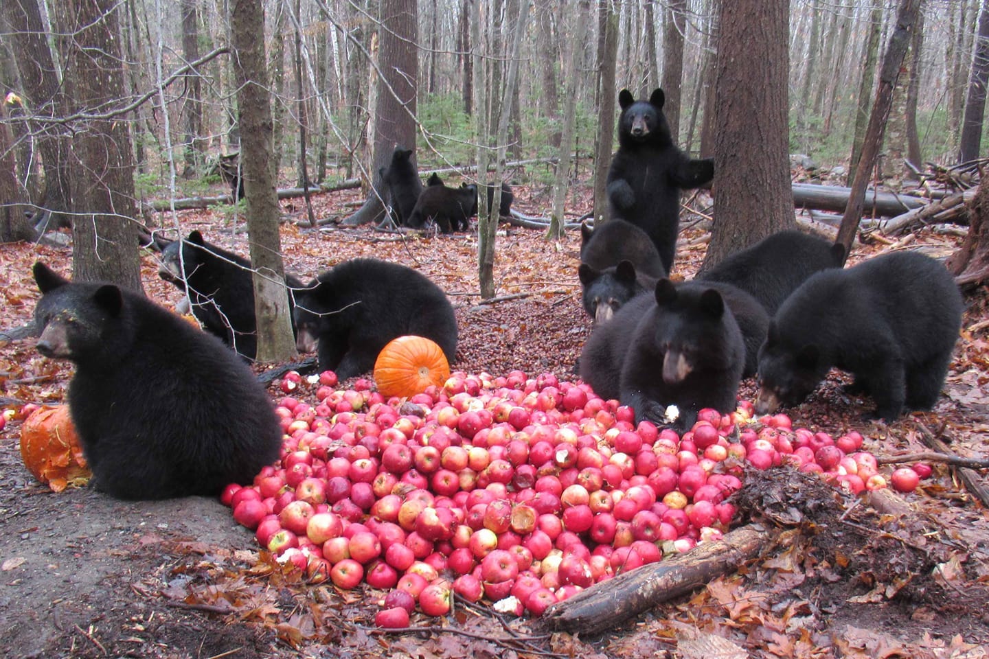 Artwork for Elevate’s Substack