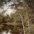 Dispatches From the Basement