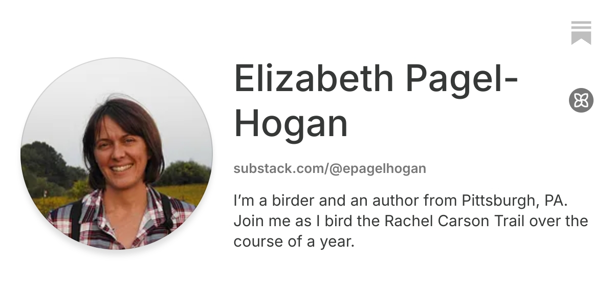 Elizabeth Pagel-Hogan | Substack