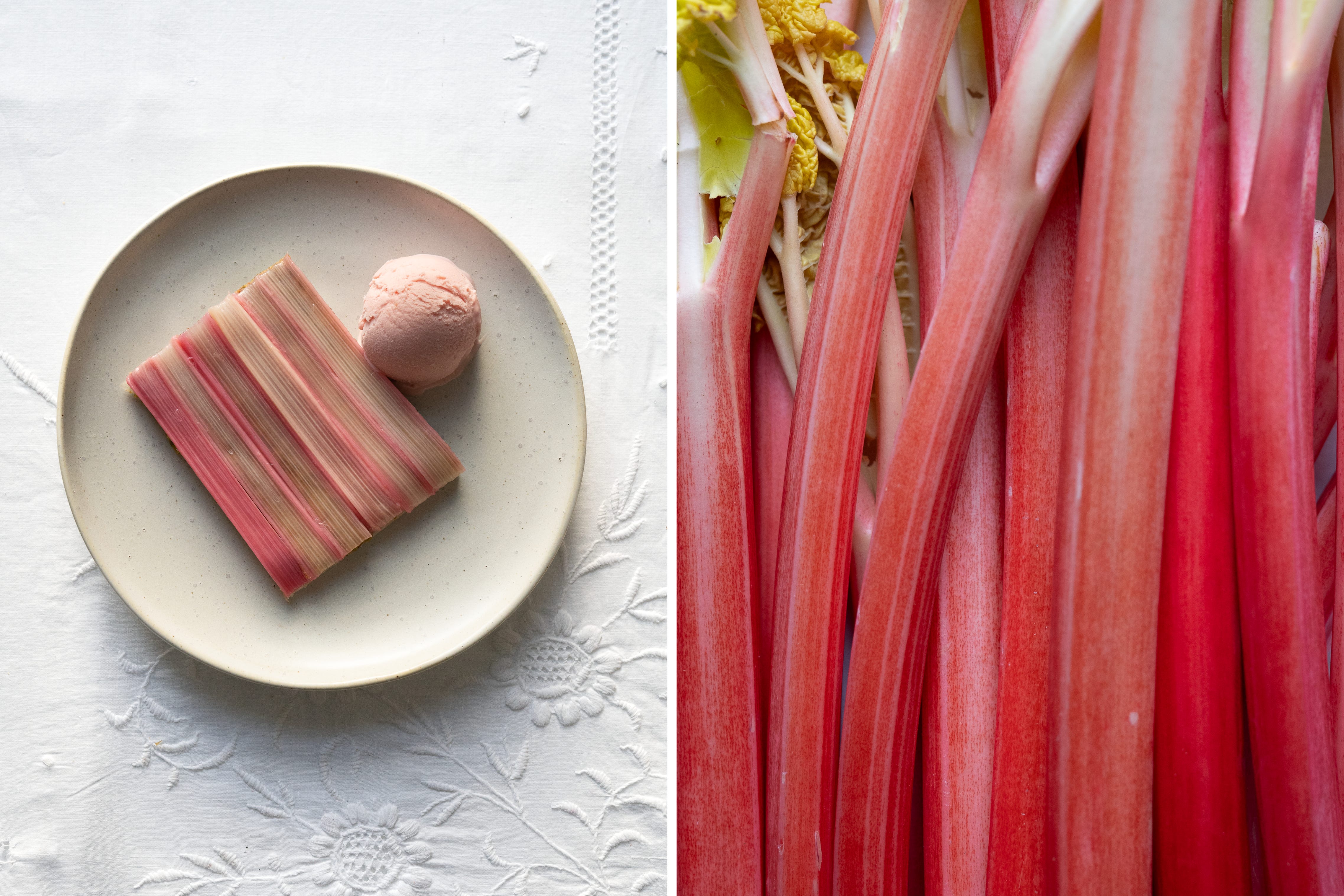 Celebrating rhubarb - by Sarah Stanback-Young
