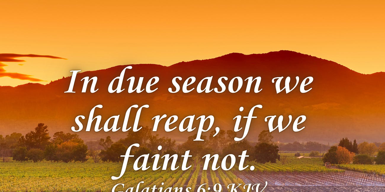 It Will Work • Daily Devo #570