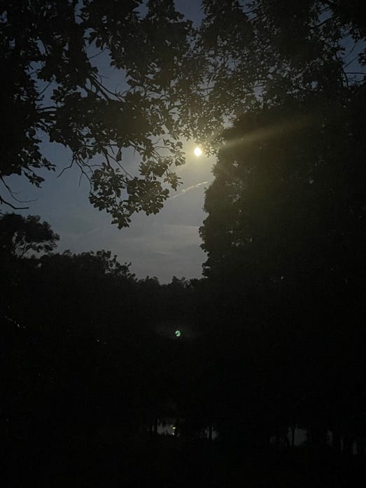 A moon in the sky

Description automatically generated
