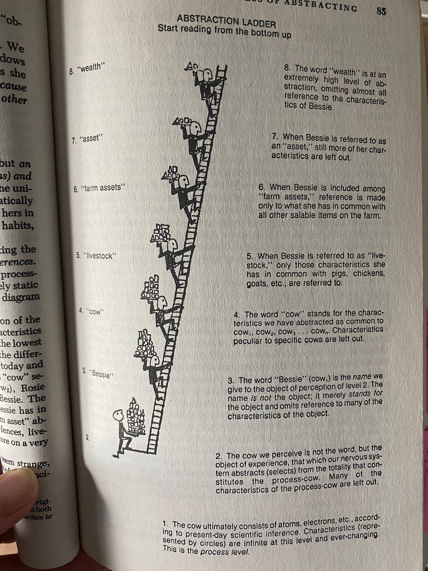 The Ladder of Abstraction - by Annilee Newton
