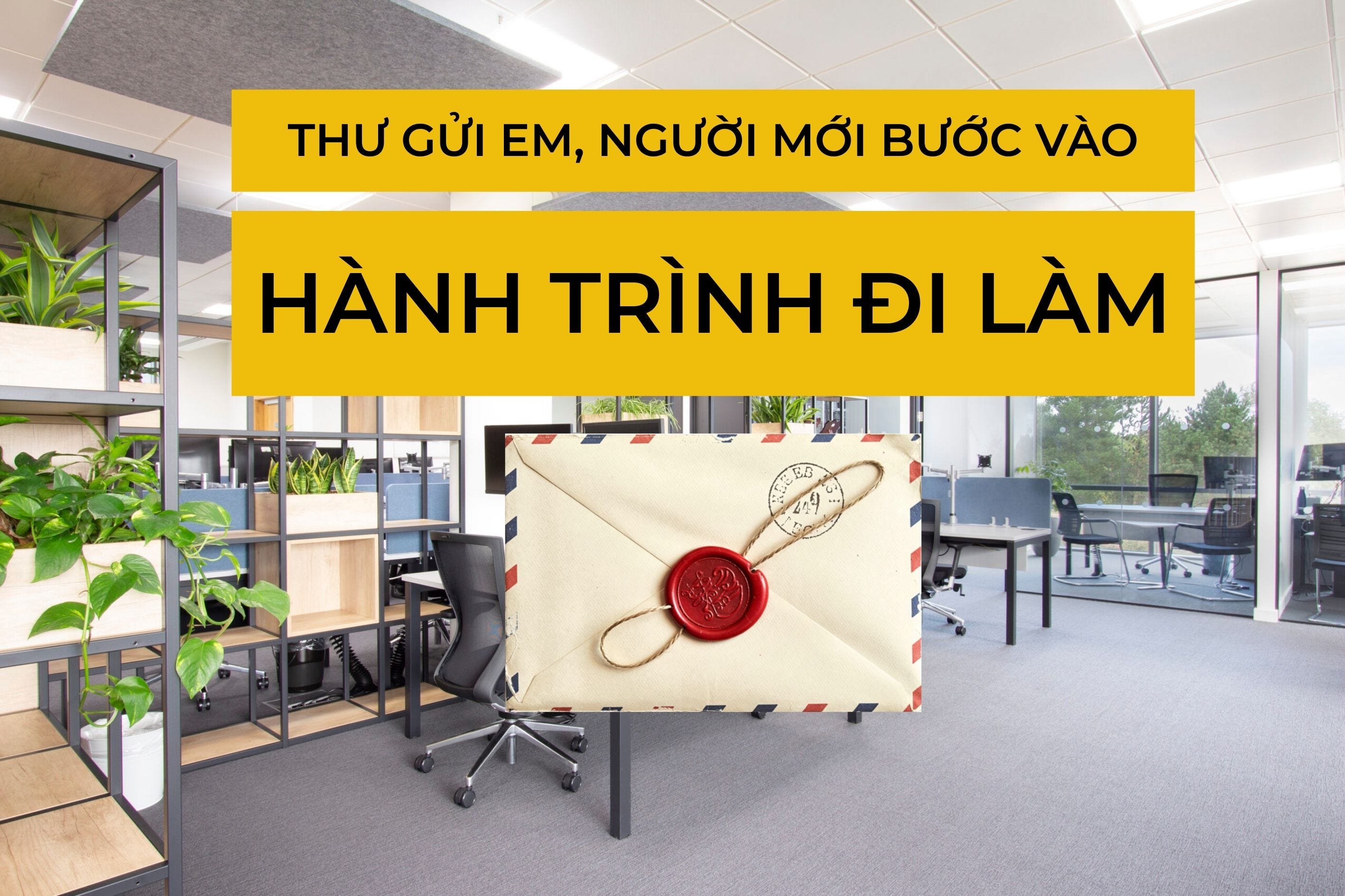 Thư gửi em - người mới bước vào hành trình đi làm