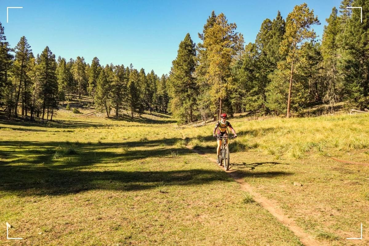 Mountain Bike Trails