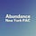 Abundance New York PAC