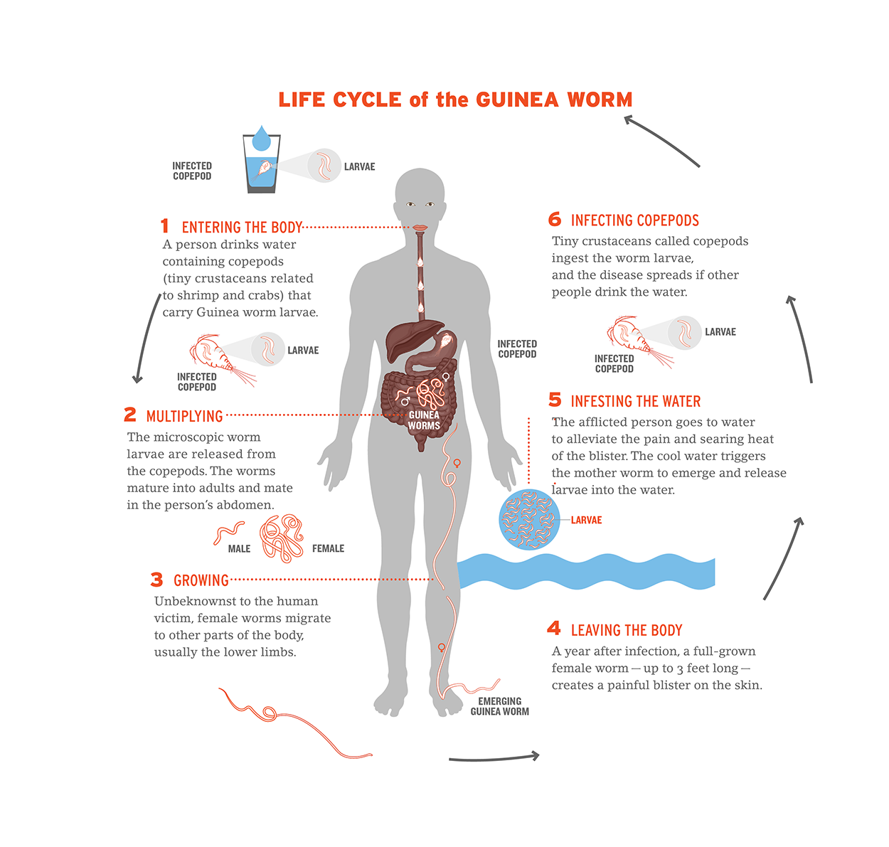 Check out more apps from the American Museum of Natural History