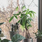 Habits - Routines and Tips For Quick Changes