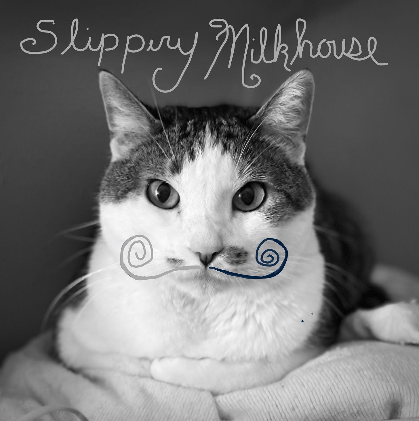 side profile black and white photo portrait of calico cat with drawn on mustache, Slippery Milkhouse written above