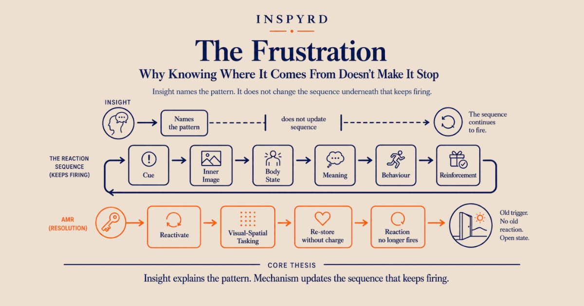 A cover for “The Frustration” showing a mechanism diagram that contrasts insight with resolution. The upper path shows insight naming the pattern but not updating the sequence. The central loop shows a reaction sequence moving from cue, inner image, body state, meaning, behaviour, and reinforcement. A lower orange AMR resolution path shows reactivation, visual-spatial tasking, re-storing without charge, and the reaction no longer firing.