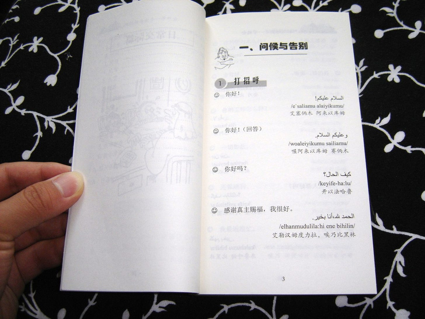 Alaboyu Xinshou Yixue Jiuhui - Arabic - Chinese Textbook / Arabic For Chinese...