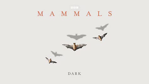 Mammals series: BBC Studios