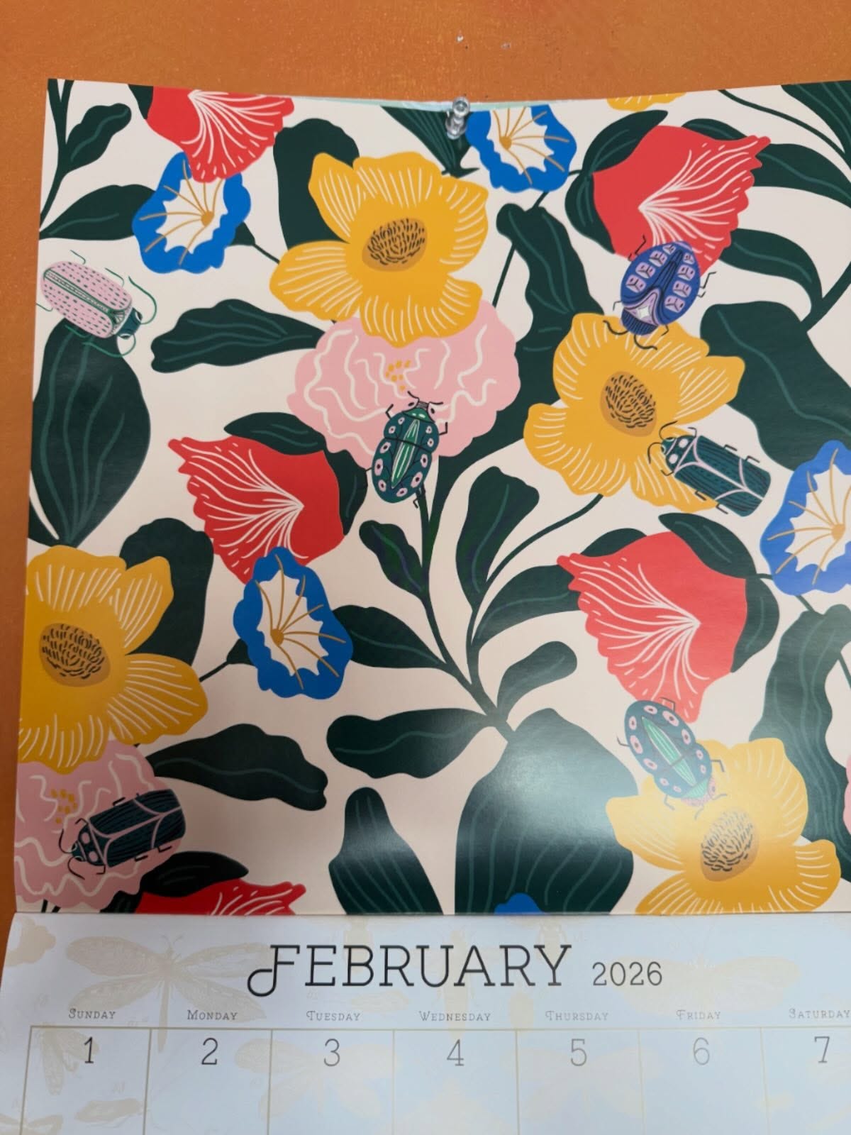 Wall calendar for February 2026. Art features beetles and blooms in bright colors Wall calendar for February 2026. Art features beetles and blooms in bright colors