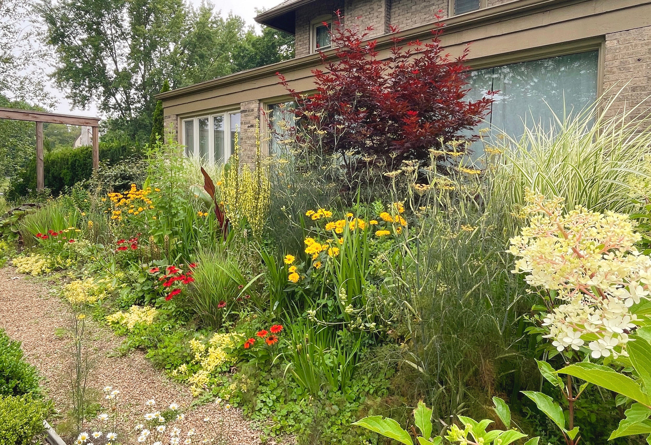 The Hot Border - Julie Witmer Gardens Newsletter