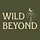 Jen | Wild Beyond Coaching