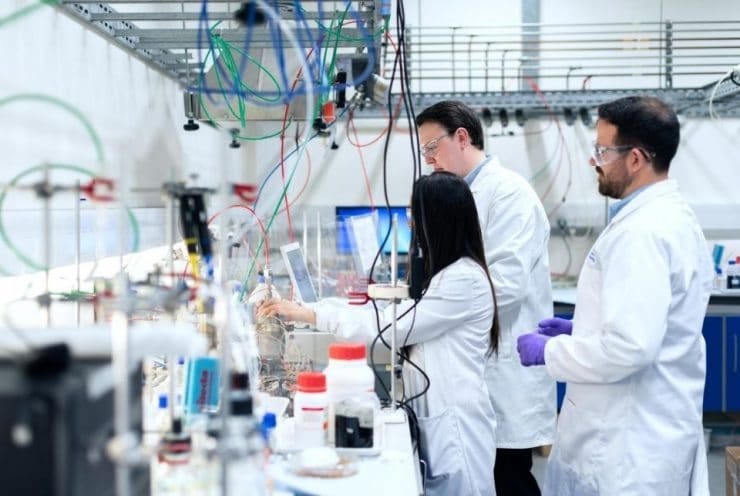 lab