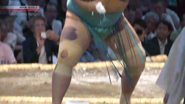 Sumo Stomp! | Tim Edwards | Substack