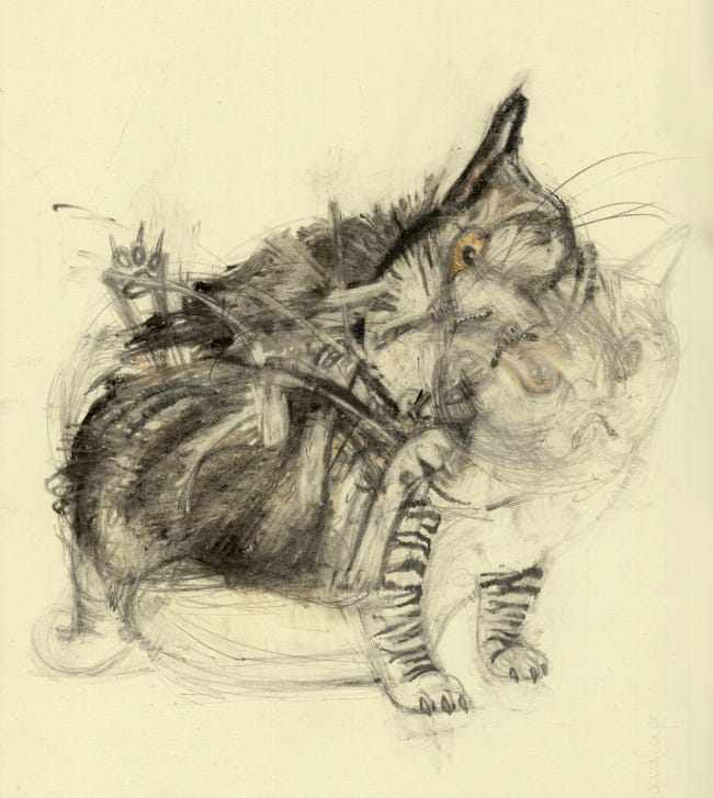 Dessin d'un chat se grattant comme si sa vie en dépendait.