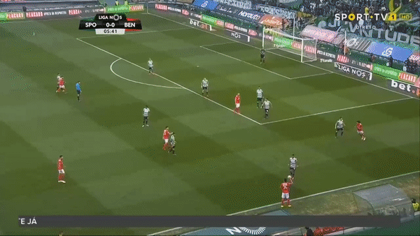 [video-to-gif output image]