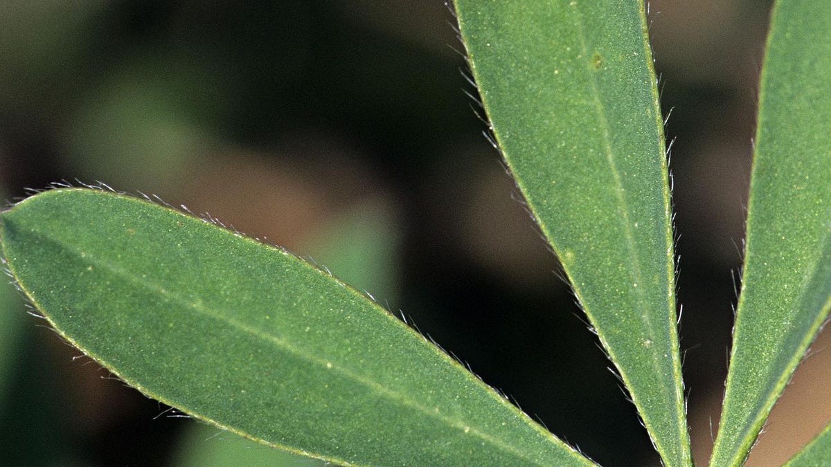 wendy664.substack.com