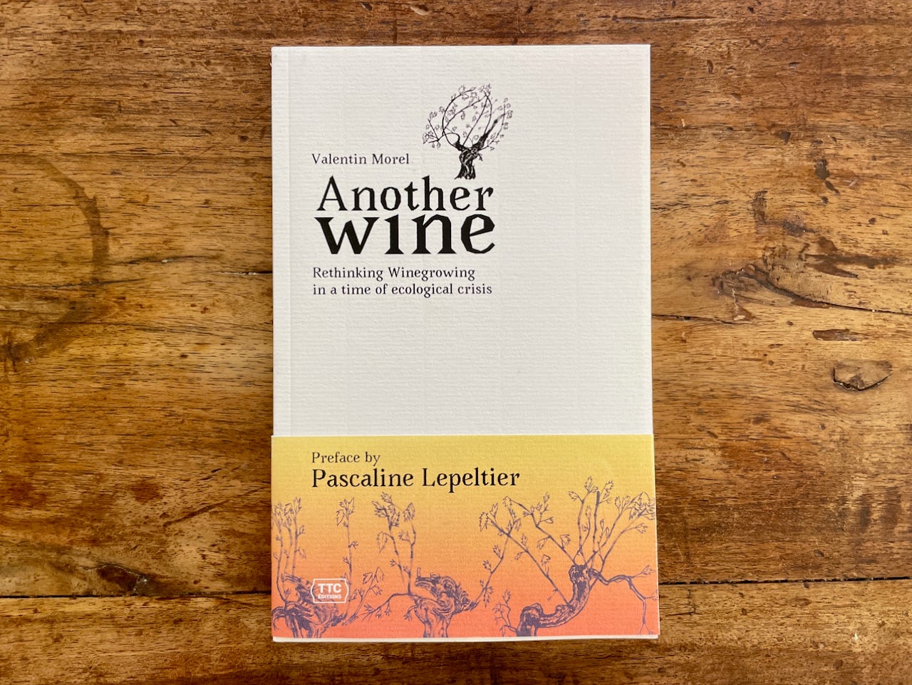 notdrinkingpoison.substack.com - Aaron Ayscough - ANOTHER WINE, by Valentin Morel
