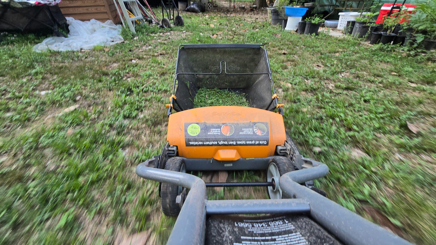 Manual push reel mower cutting uneven backyard grass, close perspective showing effort and motion