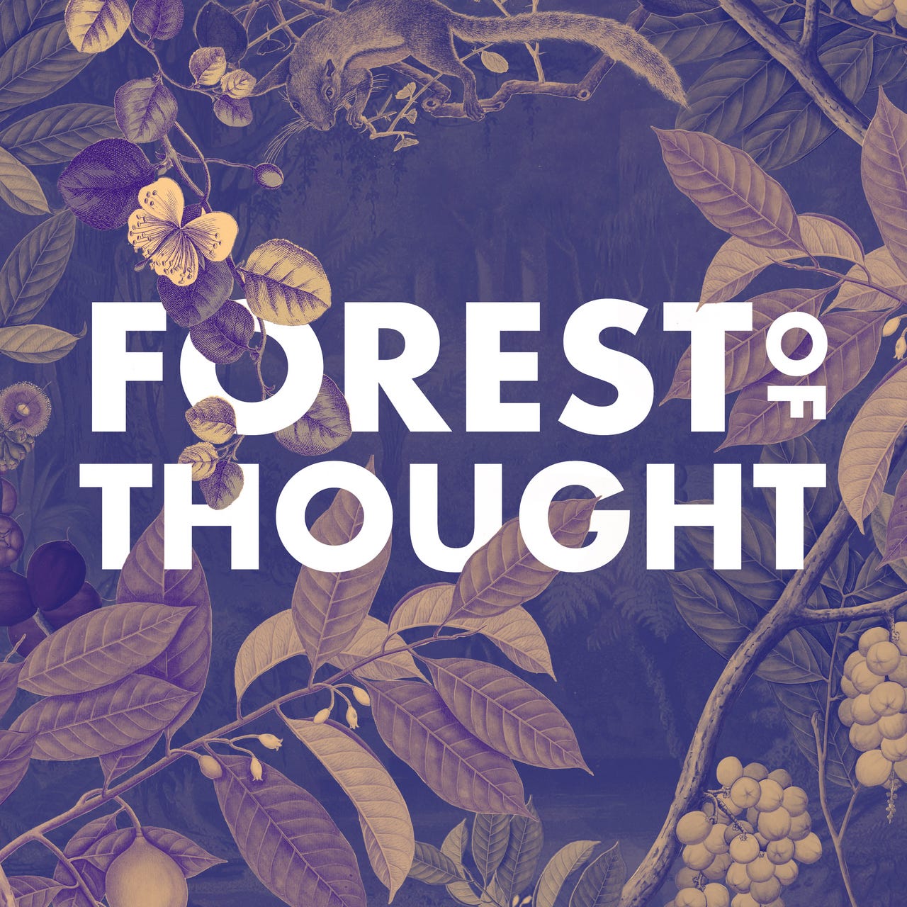 Forest of Thought Podcast
