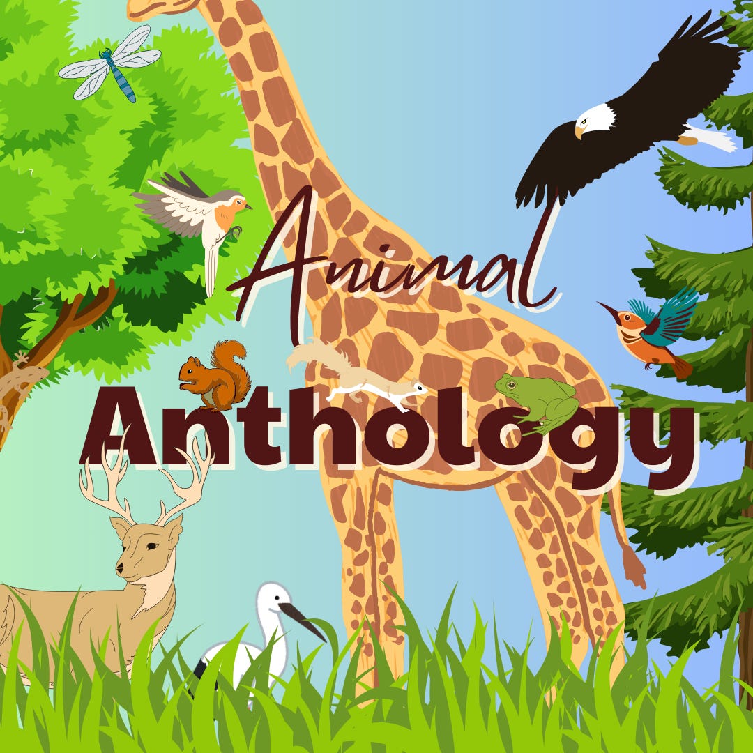Animal Anthology